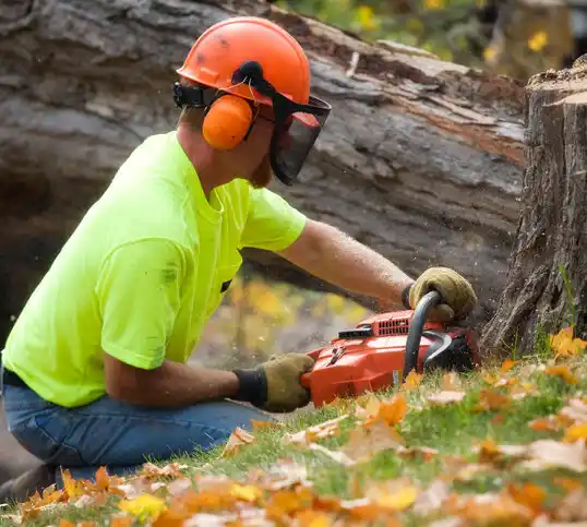 tree services Earlington